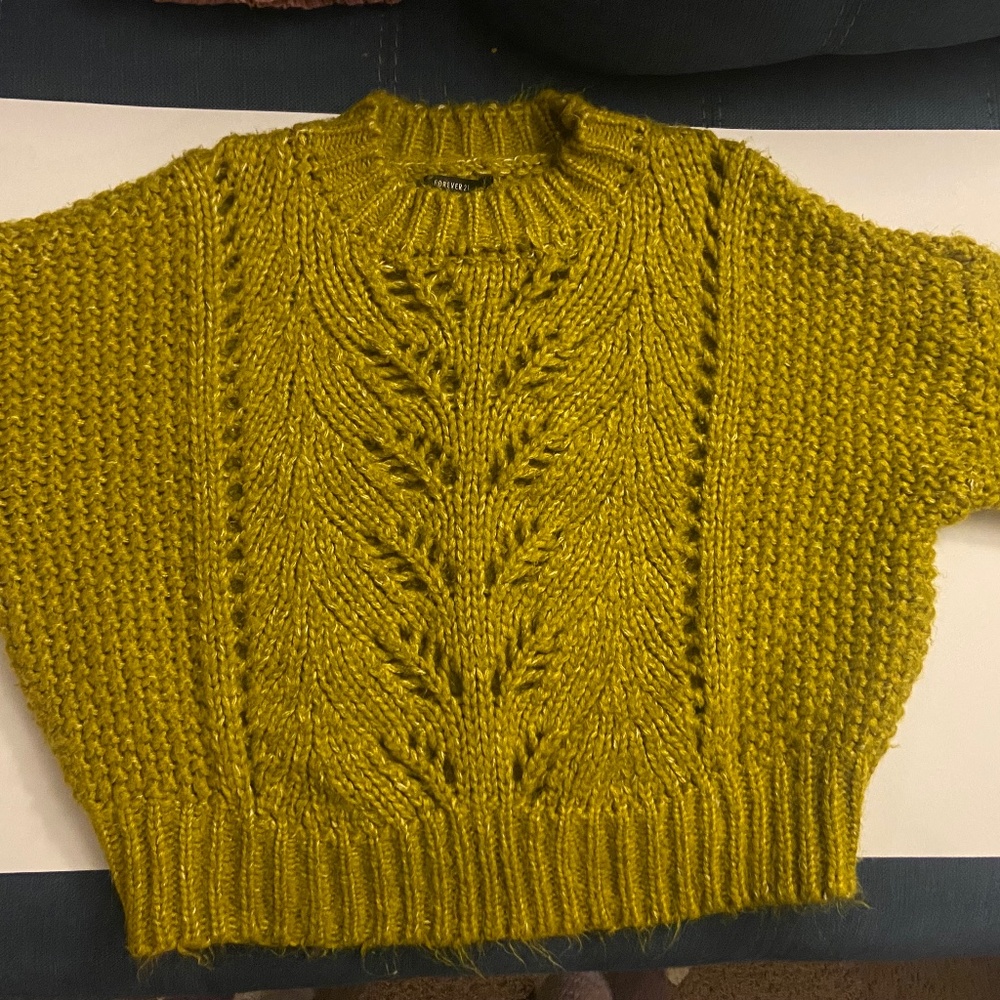 Forever 21-  Cropped Sweater